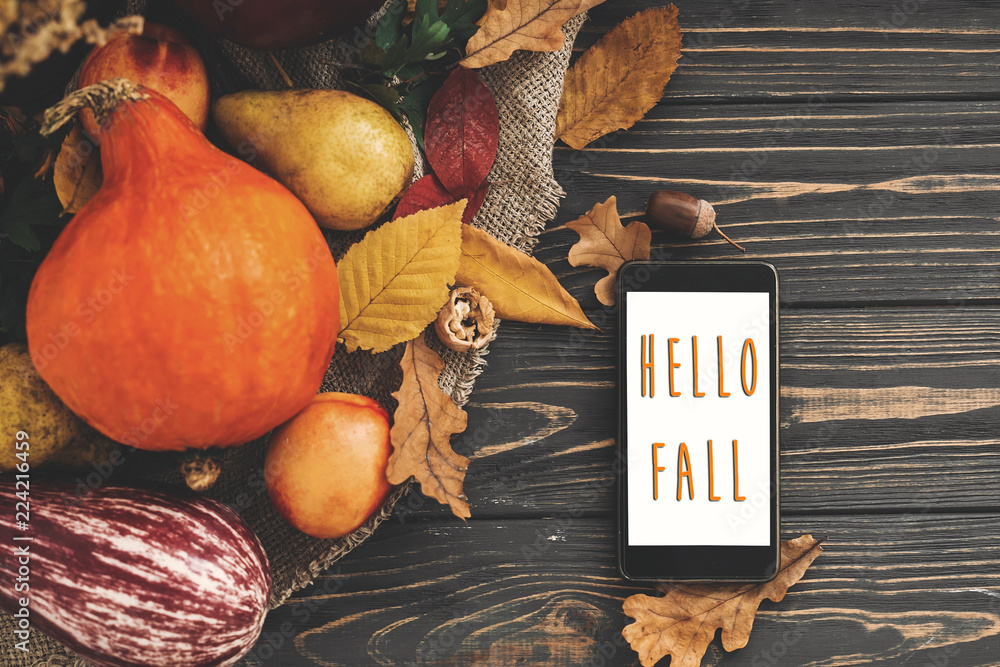 Hello Fall Text. Hello Autumn sign on phone empty screen and beautiful Pumpkin with bright autumn leaves, acorns, nuts, berries on wooden rustic table, flat lay.  Atmospheric image - obrazy, fototapety, plakaty 