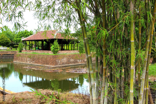 Vietnam, the Imperial citadel in hue, bamboo
