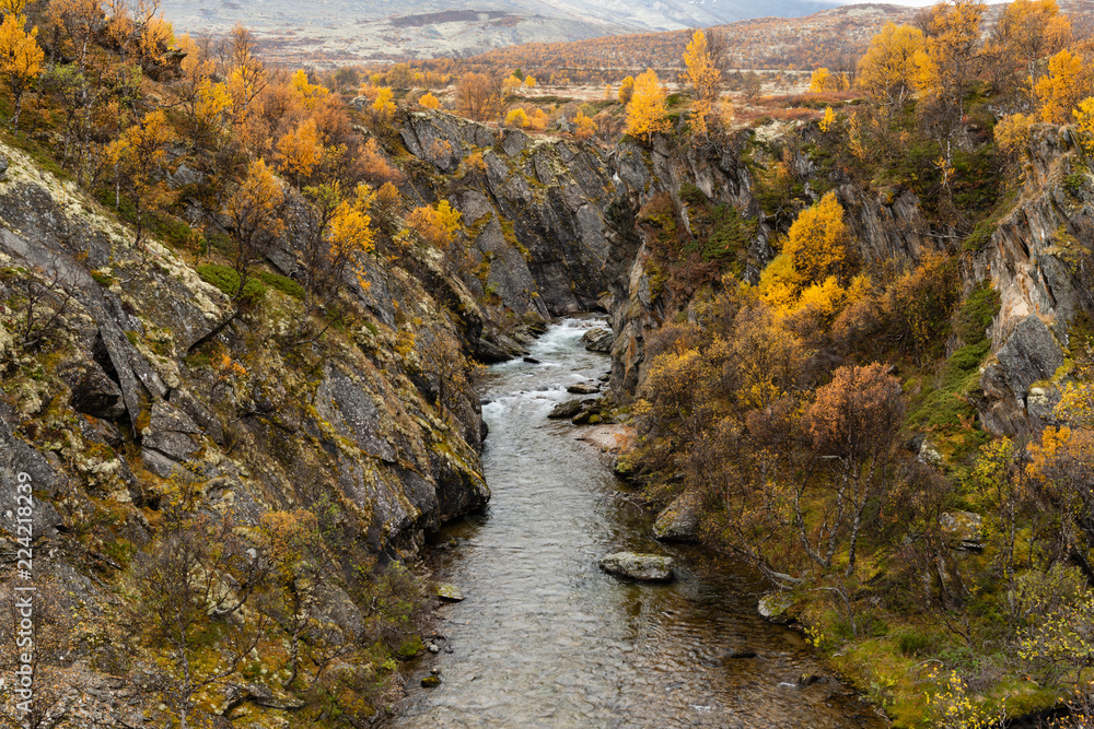 Autumn in rondane national park