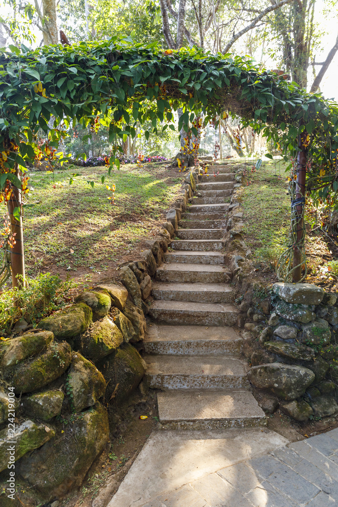 Walkways in Da Lat national park in Da Lat, Vietnam Walkways in Da Lat national park in Da Lat, Vietnam