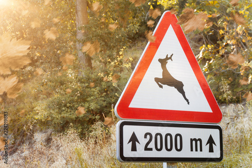 Achtung. Straßenschild Wildwechsel im Herbst photo