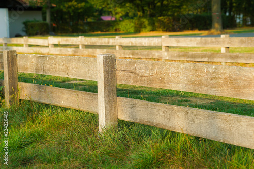 Wooden fencing in the meadow