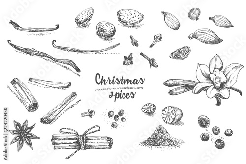 Set of hand drawn Christmas winter spices pattern. Traditionally used in made desserts, hot mulled wine, homemade cookies.