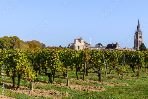 Wall Mural Vineyard at Saint-Emilion village, Aquitaine, France