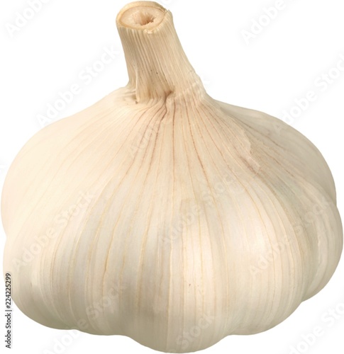 Fresh Garlic Bulb - Isolated