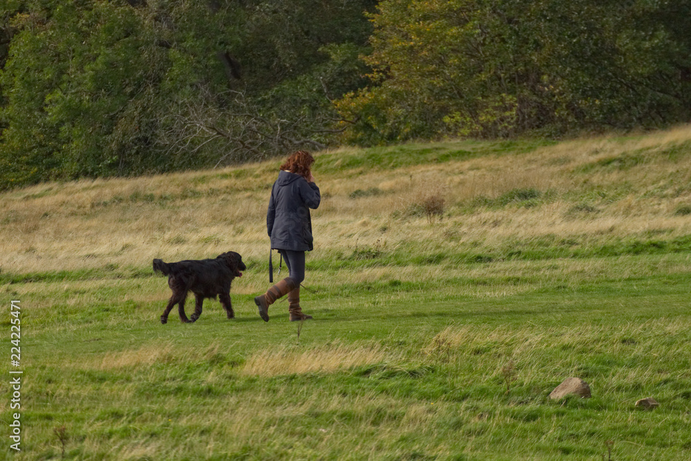 Single woman walking her black dog while on the phone in a meadow Single woman walking her black dog while on the phone in a meadow