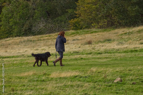 Single woman walking her black dog while on the phone in a meadow