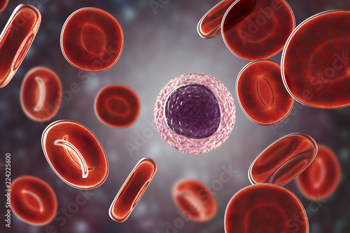 Lymphocyte surrounded by red blood cells, 3D illustration photo