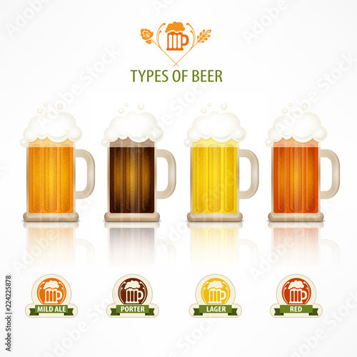 Type of beer glass mug with froth on and round icon. Vector