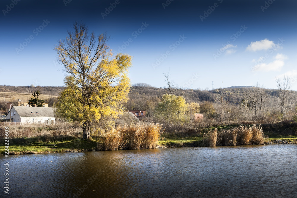 Cold spring day near a beautiful fishing lake in Sarisap, Hungary. Cold spring day near a beautiful fishing lake in Sarisap, Hungary.