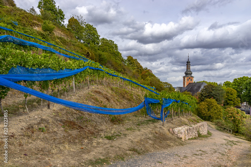 Hiking trail 