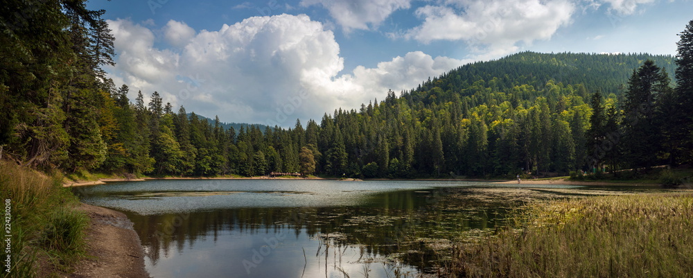 Beautiful views of the mountain lake and the mountains covered with forest in the summer. Popular tourist attraction. Fantastic landscape of Lake Sinevir in the Carpathians, Ukraine. Beautiful views of the mountain lake and the mountains covered with forest in the summer. Popular tourist attraction. Fantastic landscape of Lake Sinevir in the Carpathians, Ukraine.