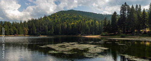 Beautiful views of the mountain lake and the mountains covered with forest in the summer. Popular tourist attraction. Fantastic landscape of Lake Sinevir in the Carpathians, Ukraine.