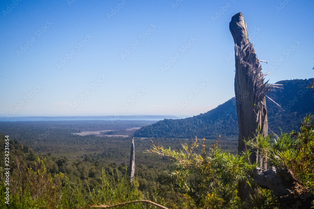 Obraz premium Panoramic from the top of Chaiten volcano in patagonia, Chile. Detail of the dead trees because the eruption of the volcano