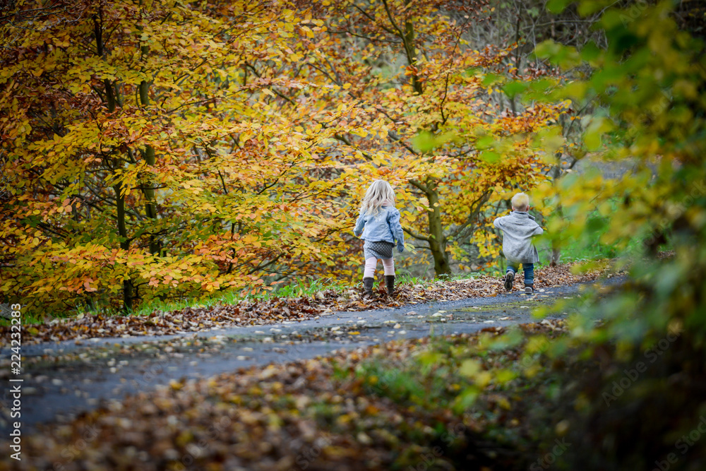Herbststimmung Herbststimmung
