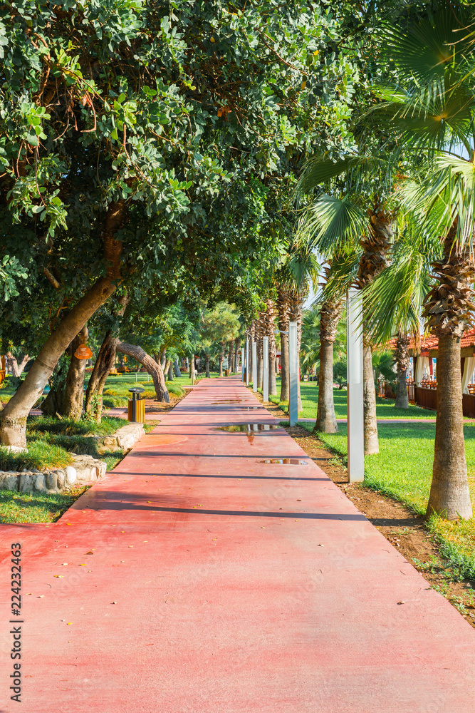 A footpath with palm trees and a gazebo along the sea and a beautiful green lawn in the foreground. Vacation at sea, relaxation A footpath with palm trees and a gazebo along the sea and a beautiful green lawn in the foreground. Vacation at sea, relaxation