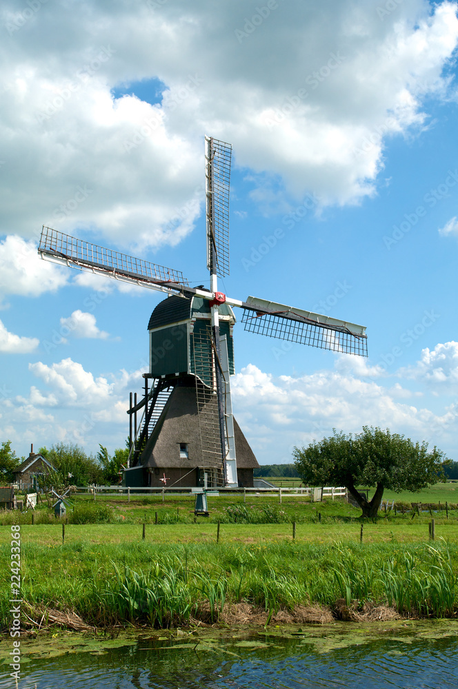 Fototapeta premium Wingerdse Windmill Bleskensgraaf