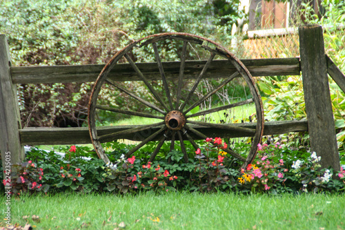 Wagon Wheel and Flowers