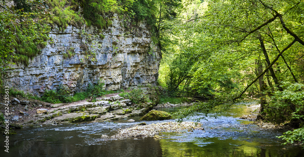 Naklejka premium Bach