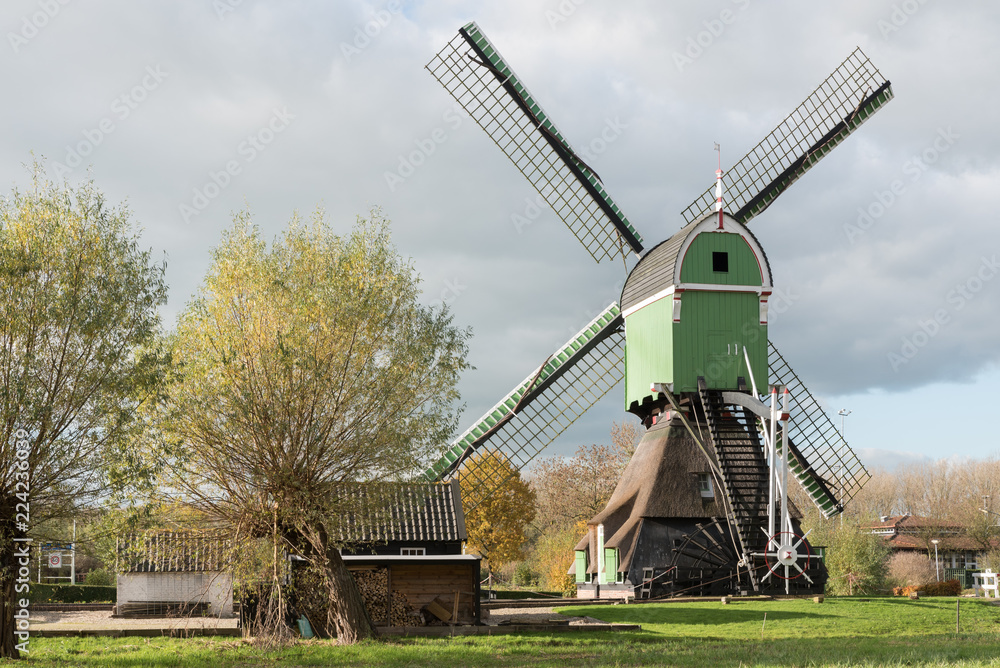 Obraz premium Windmill De Oostmolen in Gorinchem