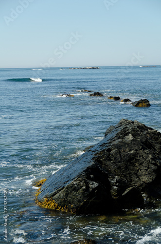 Scenes from the cliff walk in Newport Rhode Island