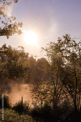Wallpaper Mural Morning has brocken Torontodigital.ca