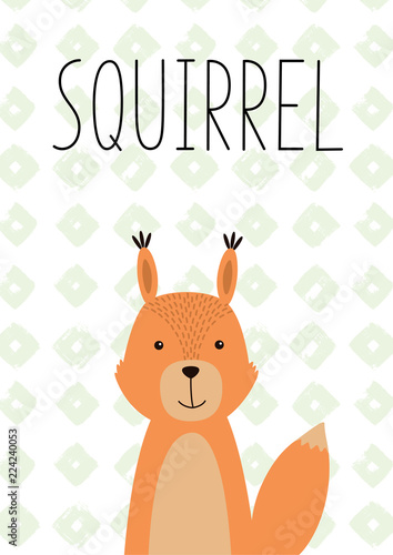 Cute little squirrel. Vector hand drawn illustration.