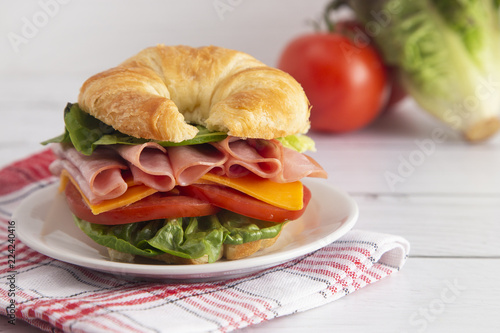 Ham and Cheese Sandwhich with Lettuce Cheese and Tomatoes