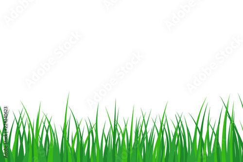 Grass. Seamless pattern. Vector. Isolated.