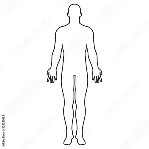 Fotografie, Obraz Human body silhouette. Vector. Isolated.