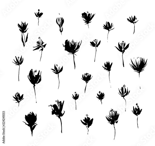 Set of hand drawn modern flowers. Grunge style ink paint elements for design. Black isolated vector on white background