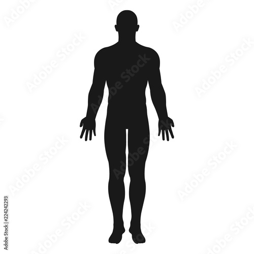 Human body. Vector. 
