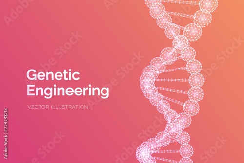 DNA sequence. Wireframe DNA molecules structure mesh. DNA code editable template. Science and Technology concept. Vector illustration.