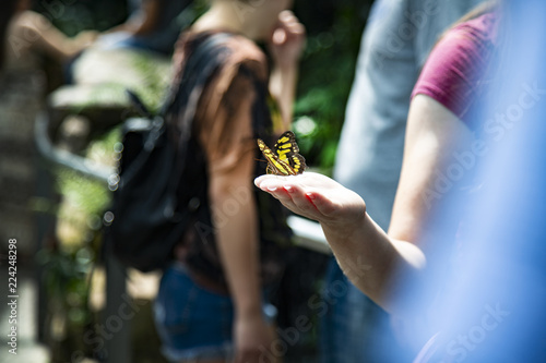 Canvas Print Woman holding a butterfly in a park