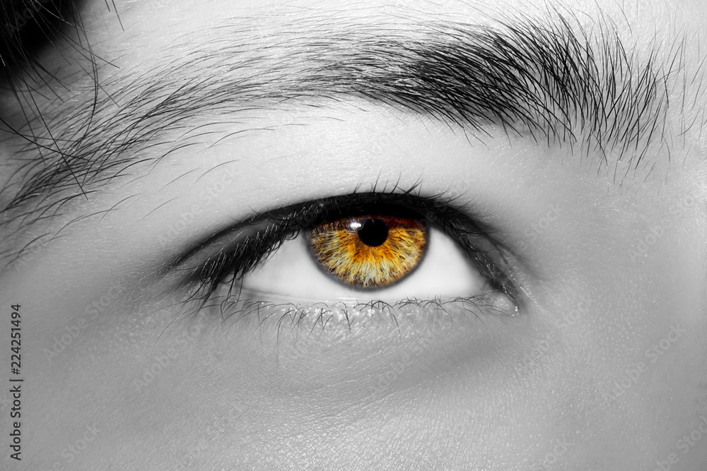 A beautiful insightful look man's eye. Close up shot. A beautiful insightful look man's eye. Close up shot.