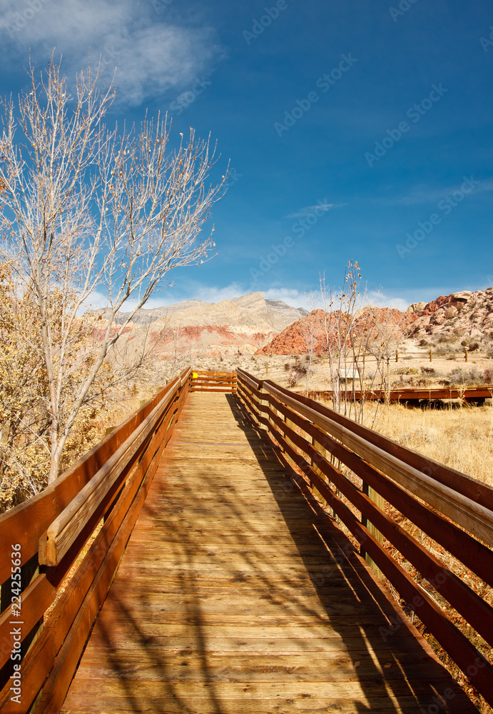 Fototapeta premium Wood Board Walkway Across Desert