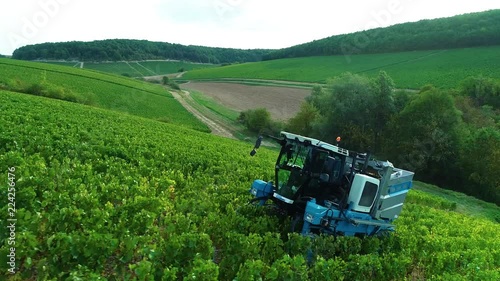 Vendanges dans les vignes 