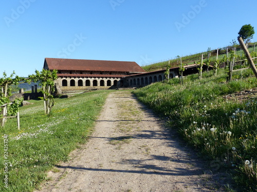 Weg zur römischen Villa in Longuich / Mosel