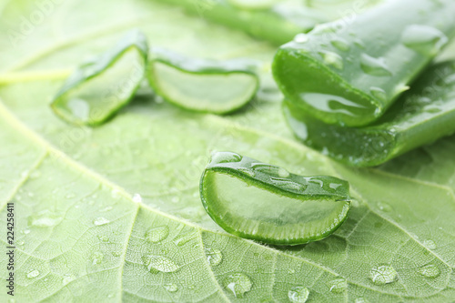 Fresh green aloe vera slices with drops on leaf, closeup
