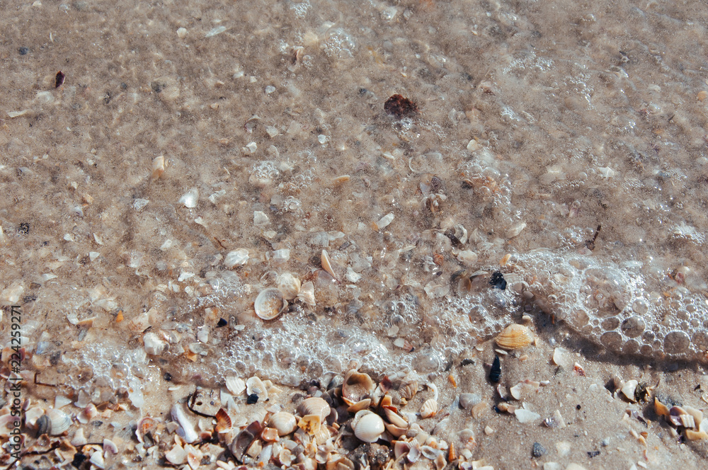 Background of sea sand with seashells on the beach of the sea, ocean with waves Background of sea sand with seashells on the beach of the sea, ocean with waves