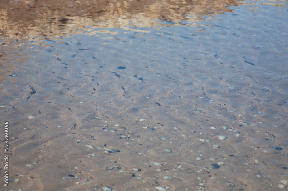Sea bottom sand and seashells under the layer of water on a hot summer Sea bottom sand and seashells under the layer of water on a hot summer