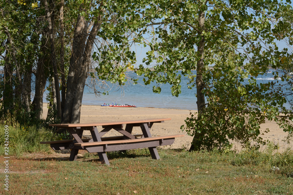 Empty picnic table among trees near lake with receding water level and increasing beach area due to Colorado drought Empty picnic table among trees near lake with receding water level and increasing beach area due to Colorado drought