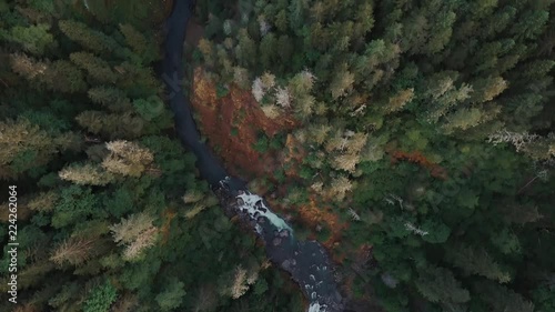 Aerial flying along a mountain river and bridge in the dense rain forest of the Pacific Northwest