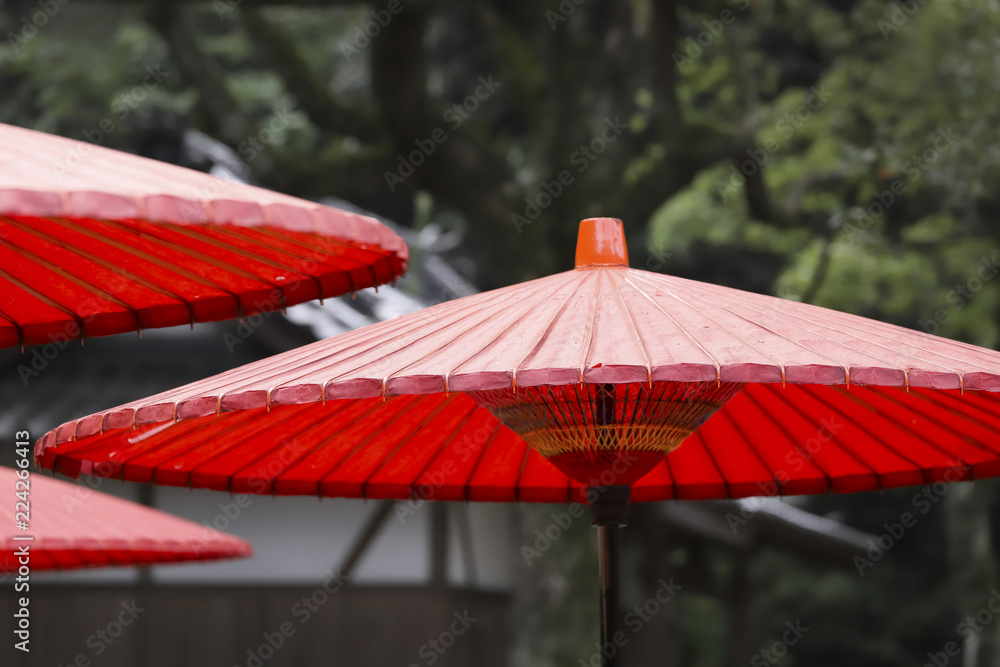 傘　赤い傘　野点