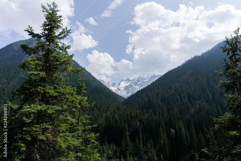 Fototapeta premium view of mountains