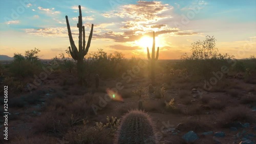 Scottsdale Arizona desert sunset 