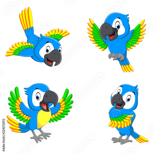 the collection of the blue parrots with happy faces 
