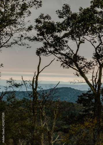 Mountaintop View