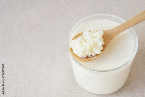 Organic probiotic milk kefir grains, Tibetan mushrooms on wooden spoon over kefir milk in a glass photo