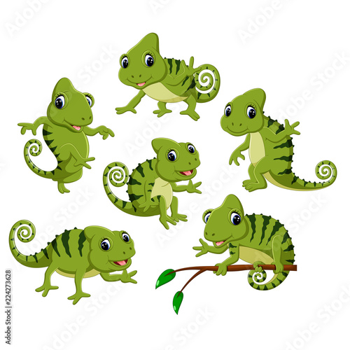 the collection of the green chameleon with different posing 
